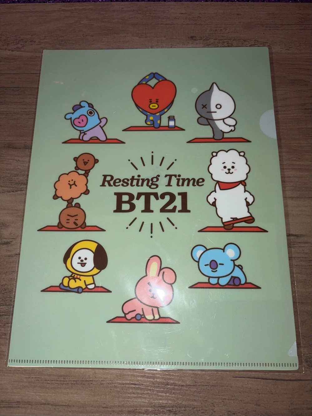 BT21 Resting Time File Folder | Official BT21 Stationery Organizer | BTS
